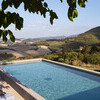 Malatesta Pool through tree view (42)